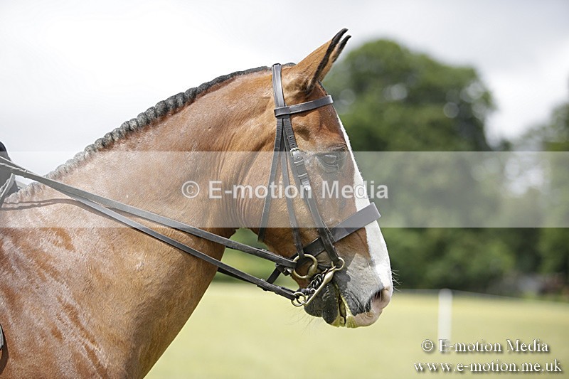 BVR160717-1987 - Side Saddle Classes 16/07/17