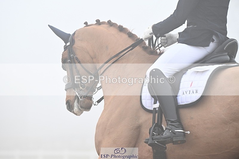 240217A-131039-02764 - 271-Tom.Carter-Rubin.Regal