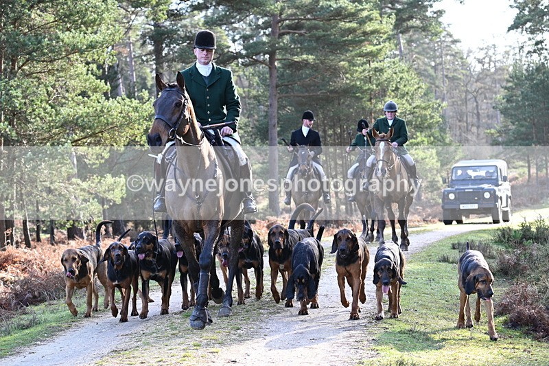 WJ7_7710 - Line 3 (no line 4 or 5)