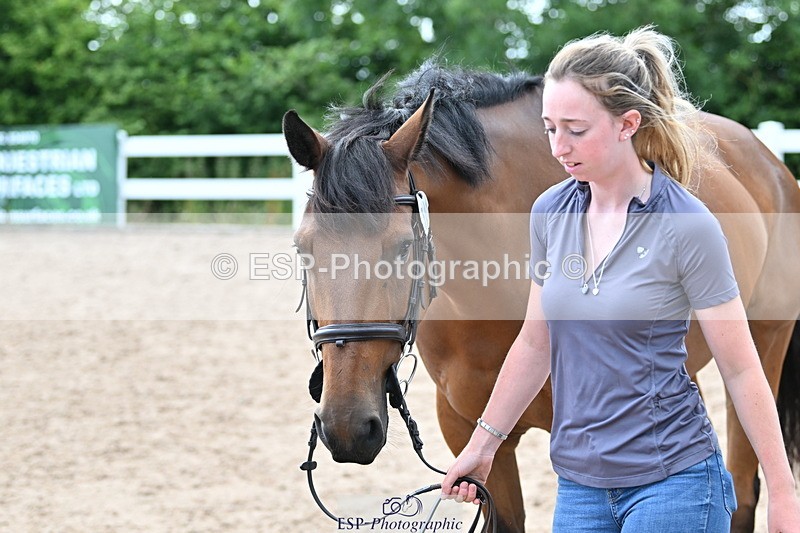 240717A-143920-02169 - Trot Up 2pm to 3pm - This folder is not in time order