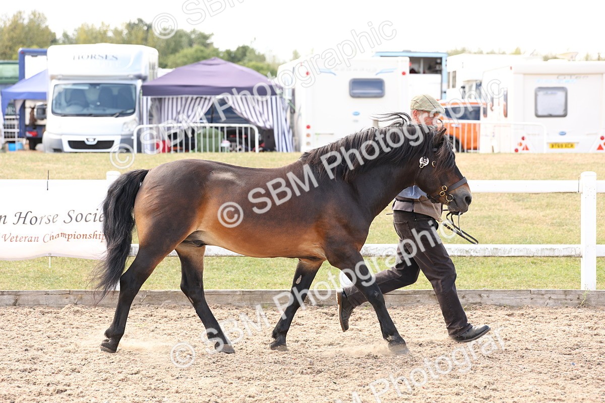 SBM_15071 - Class 209 - IH Veteran Pony