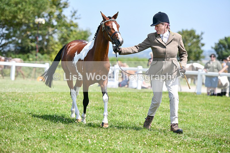 DSC_7404 - Class 62: Coloured Pony Youngstock