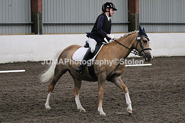 SIAL3653 - CAbin Dressage 5th july 2025