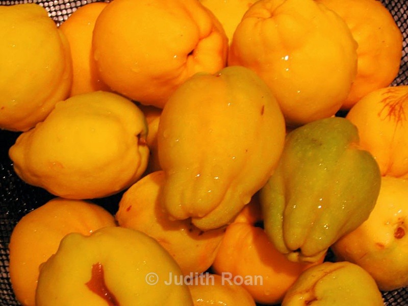 Quince-5 - Quince Jelly