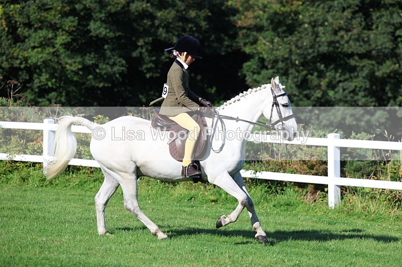3E7A7593 - Class 1: Novice Working Hunter Pony