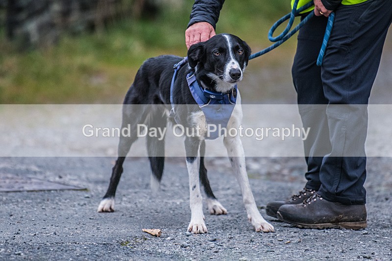 Derwentwater-1041 - Derwentwater 10 Mile Road Race Sunday 3rd November 2024