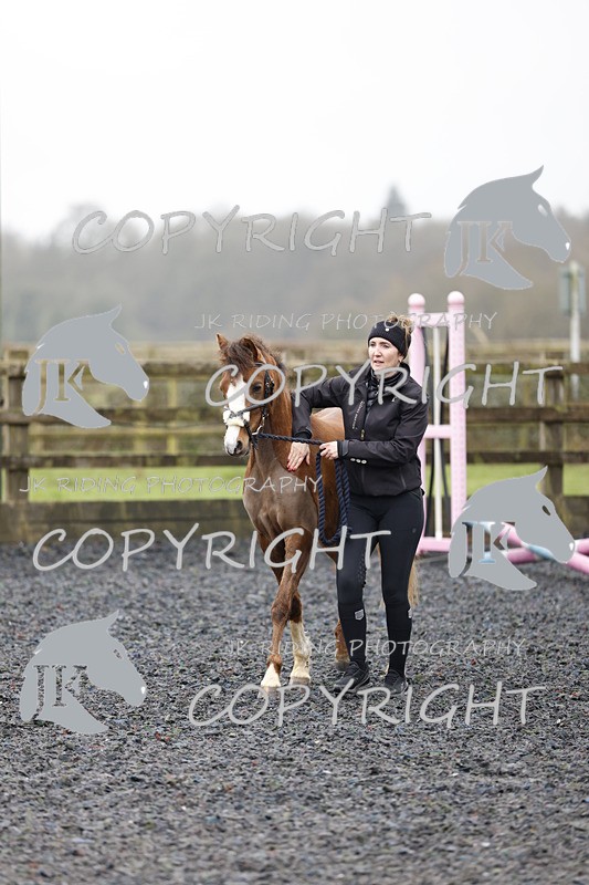 _R6A8095 - Class 1 X poles