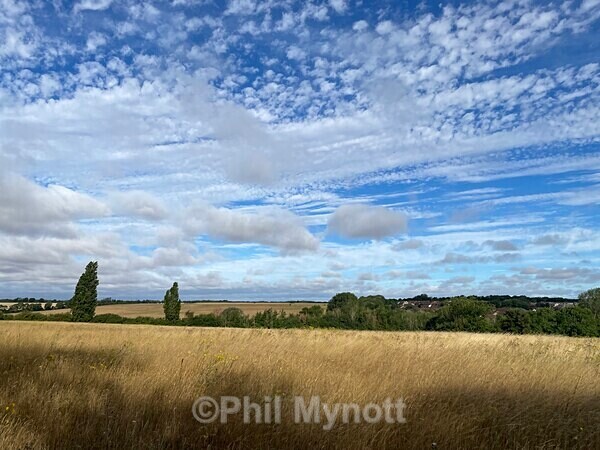 ART177 - Photo Mynott ART Images