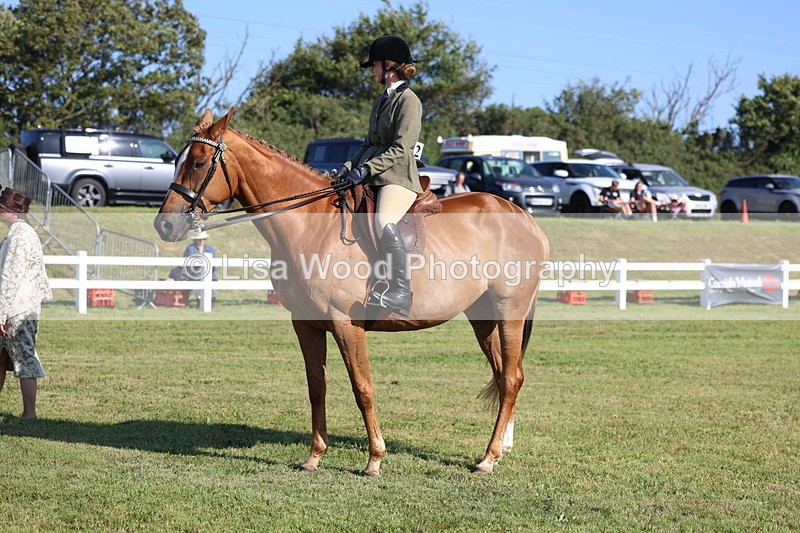 3E7A5517 - Class 2: Rising Star Large Hack/Riding Horse