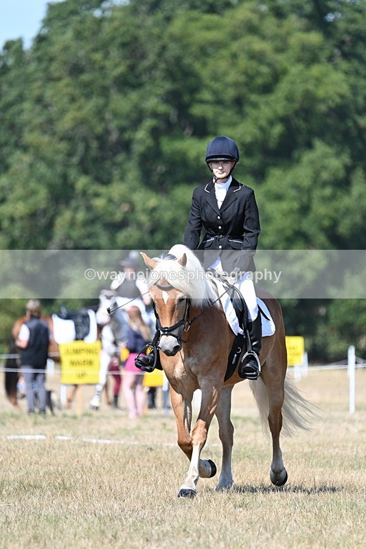 WJ7_0330 - Time 11:33 to 11:44