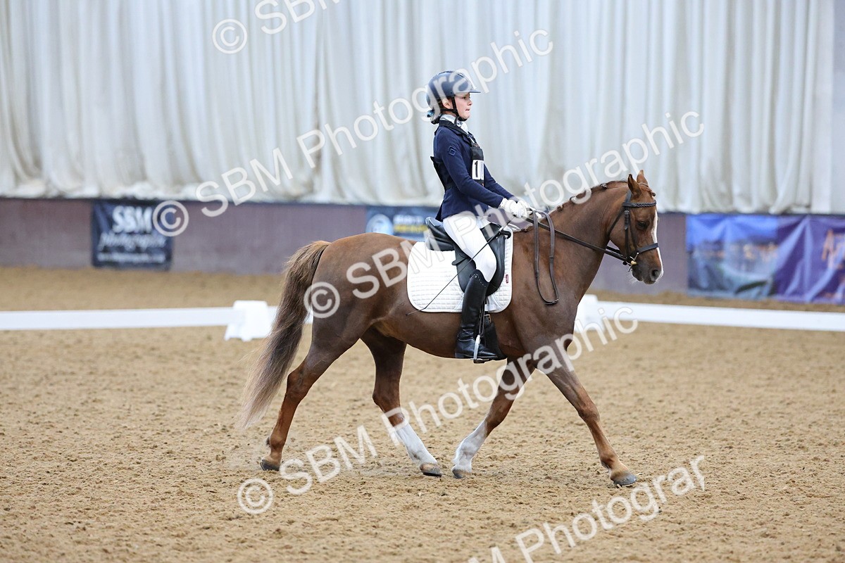 SBM_003670 - Novice