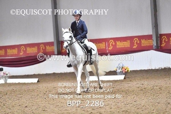 BPP_2286 - 23 - A LAMB