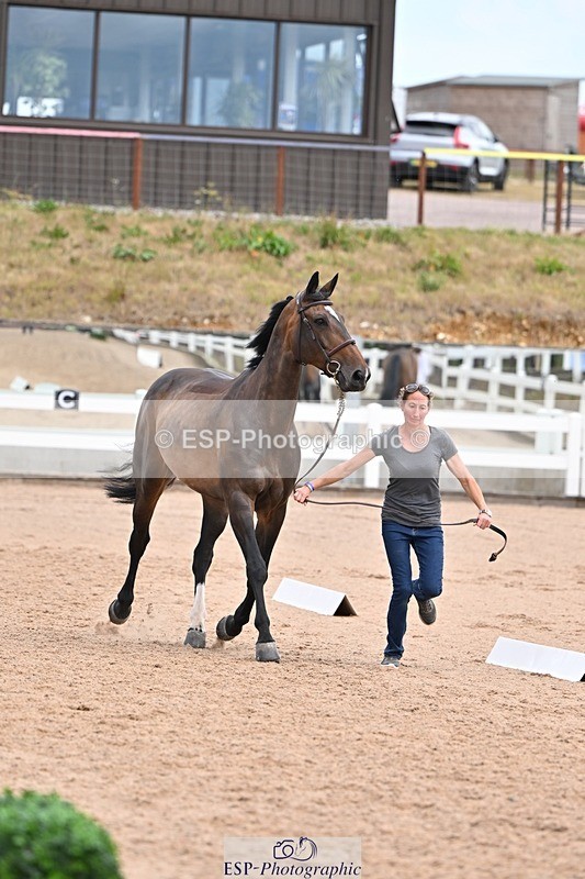 250716-135710-00807 - Trot Up 1.30 to 2.30