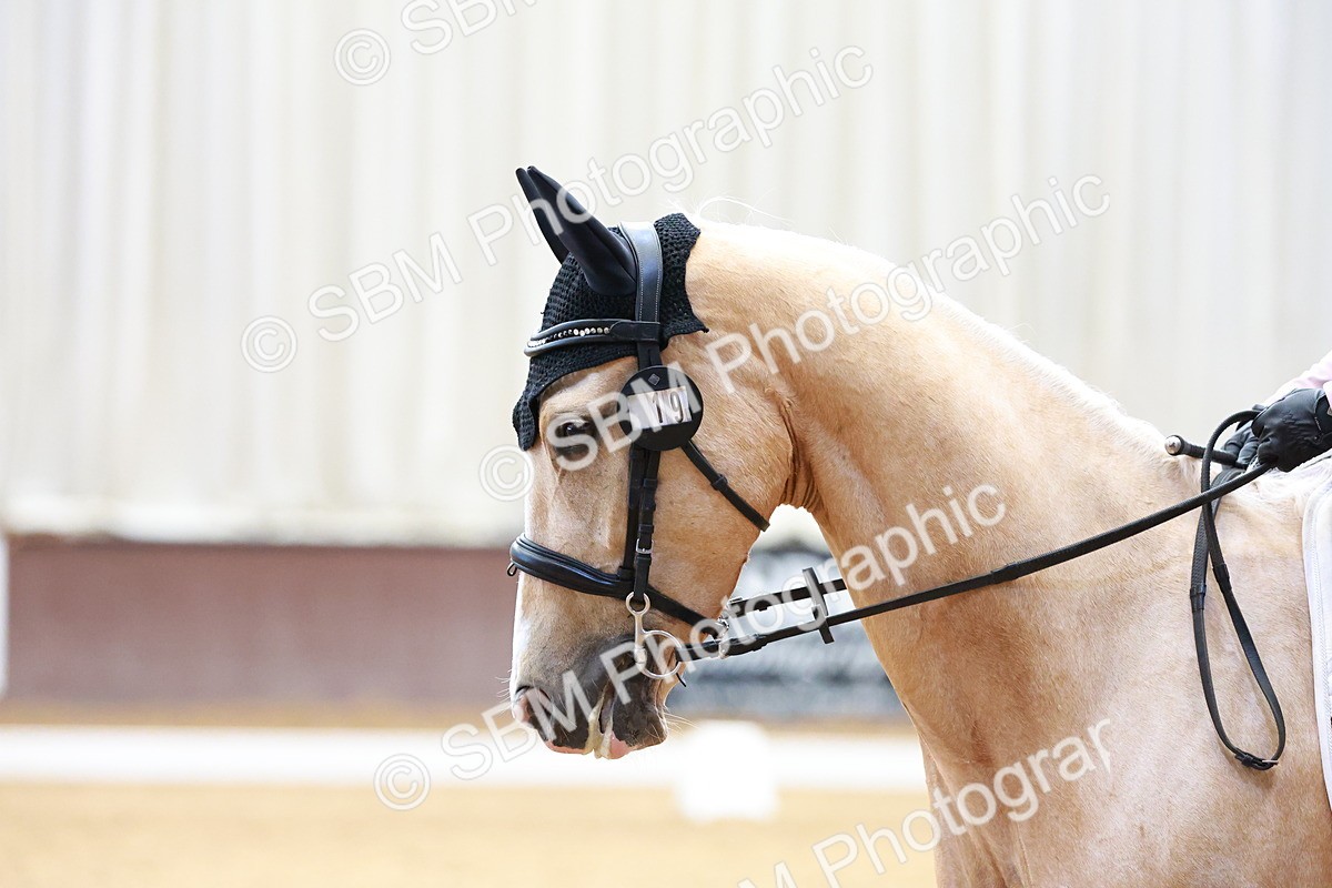 SBM_007717 - Class 3-6 - MQ U21 Intro 2-Open P1