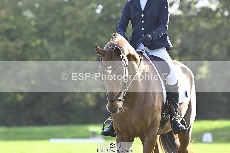 241025-151254-09756 - 591-Zennor.Harvey-GOODFELLA.GIO