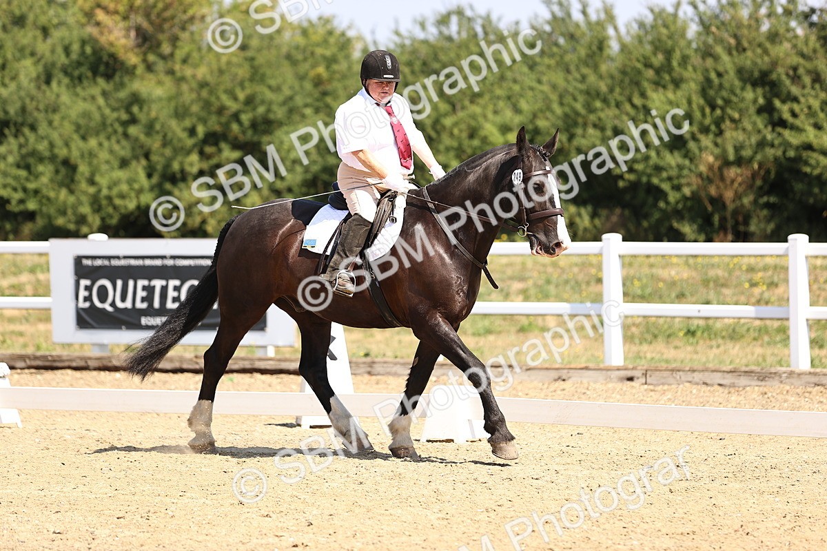 SBM_003609 - Intro 2