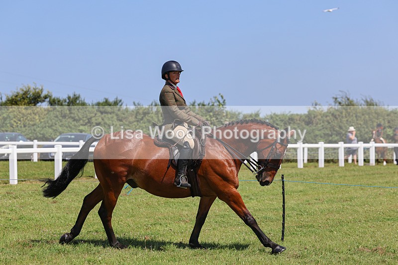 IMG_2358 - Class 38: Veteran Ridden