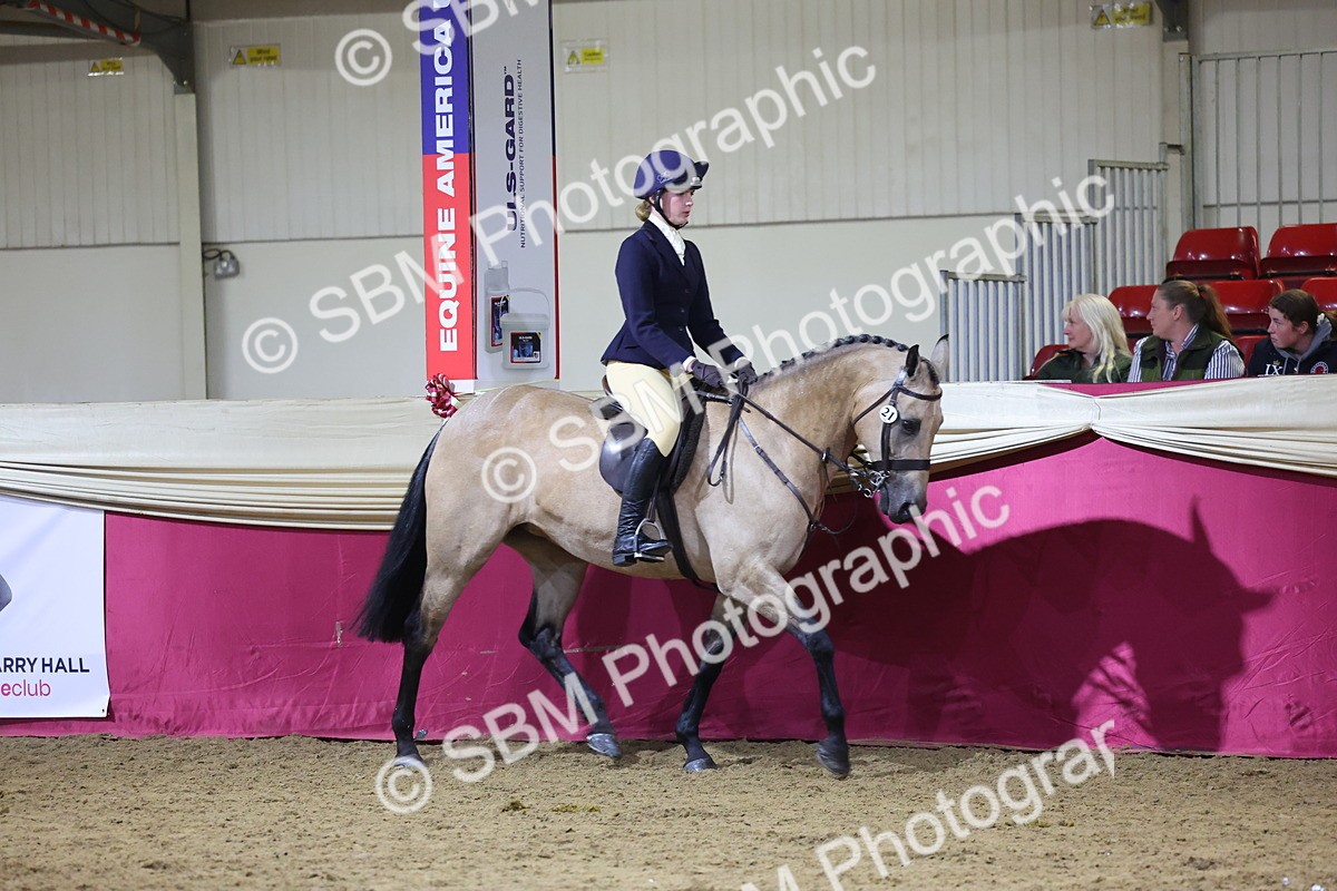 0B8A4571 - Class Q Style & Performance Champ