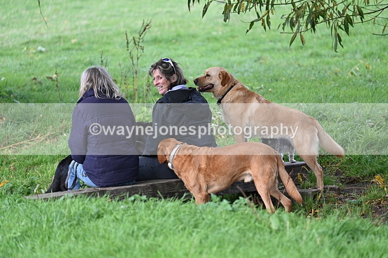 WJ7_0831 - Time 14:27 to 15:11