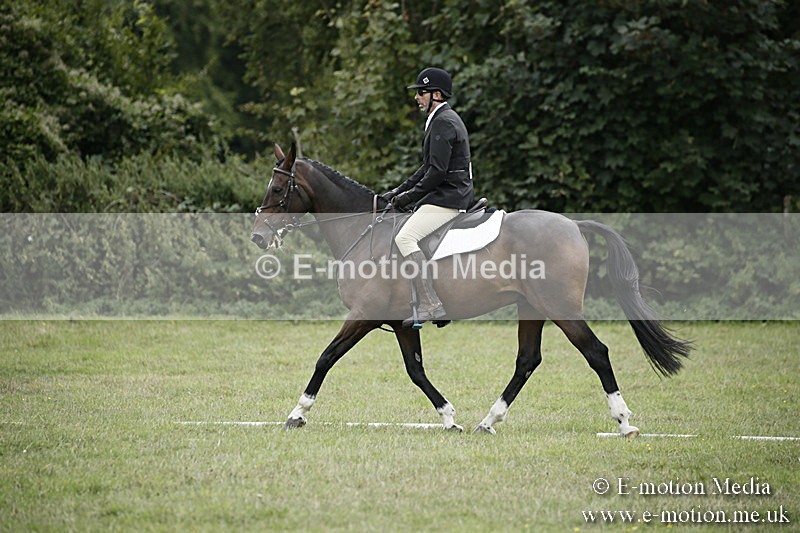 BVR080918 338 - BVRC Novice Dressage & CR 08/09/18