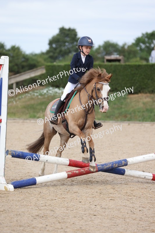 20250629-0350 - Class 2 - 50cm