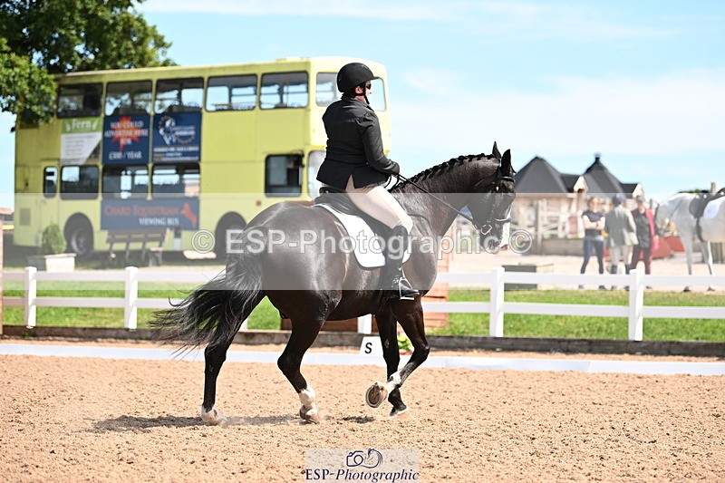 240816A-121816-04858 - 289-Rosey.Bradburn-High.Spirits.II