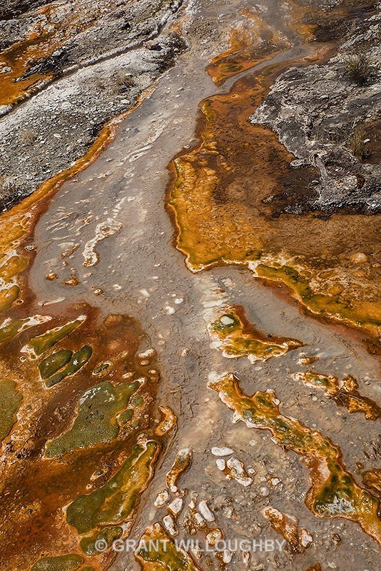 Aoraki Koeraki thermal salts - New Zealand
