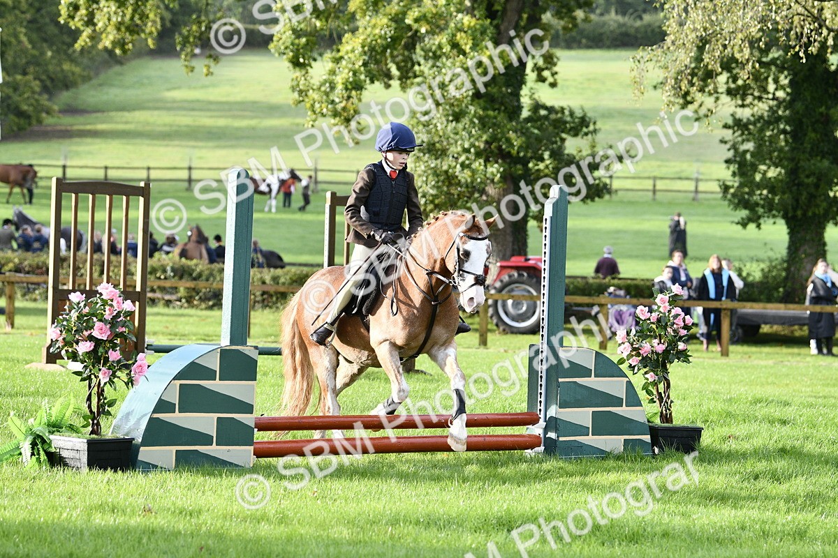 SBM_35407 - S30 - Nursery Stakes Working Hunter Pony