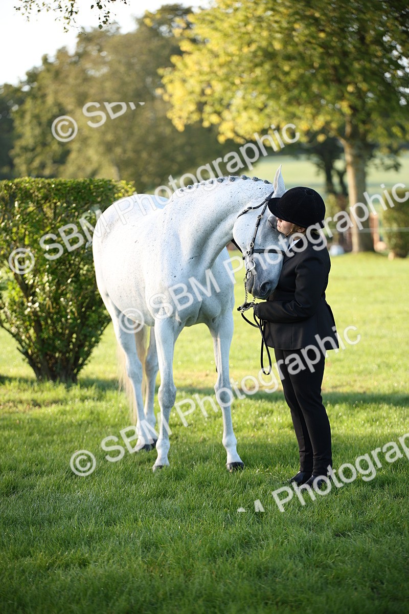 SBM_32387 - S8 - Best Turned Out