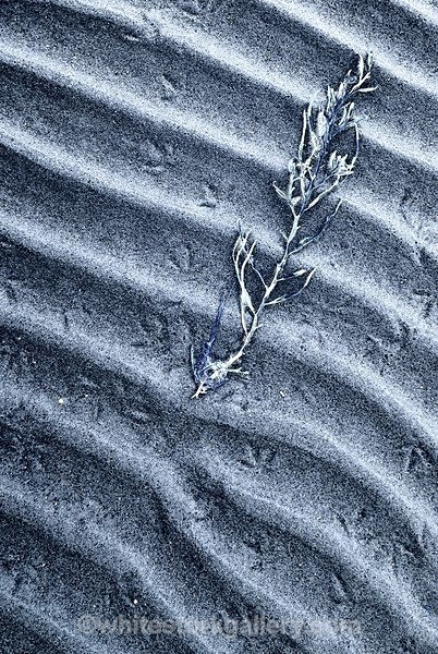  - The Sand Gallery