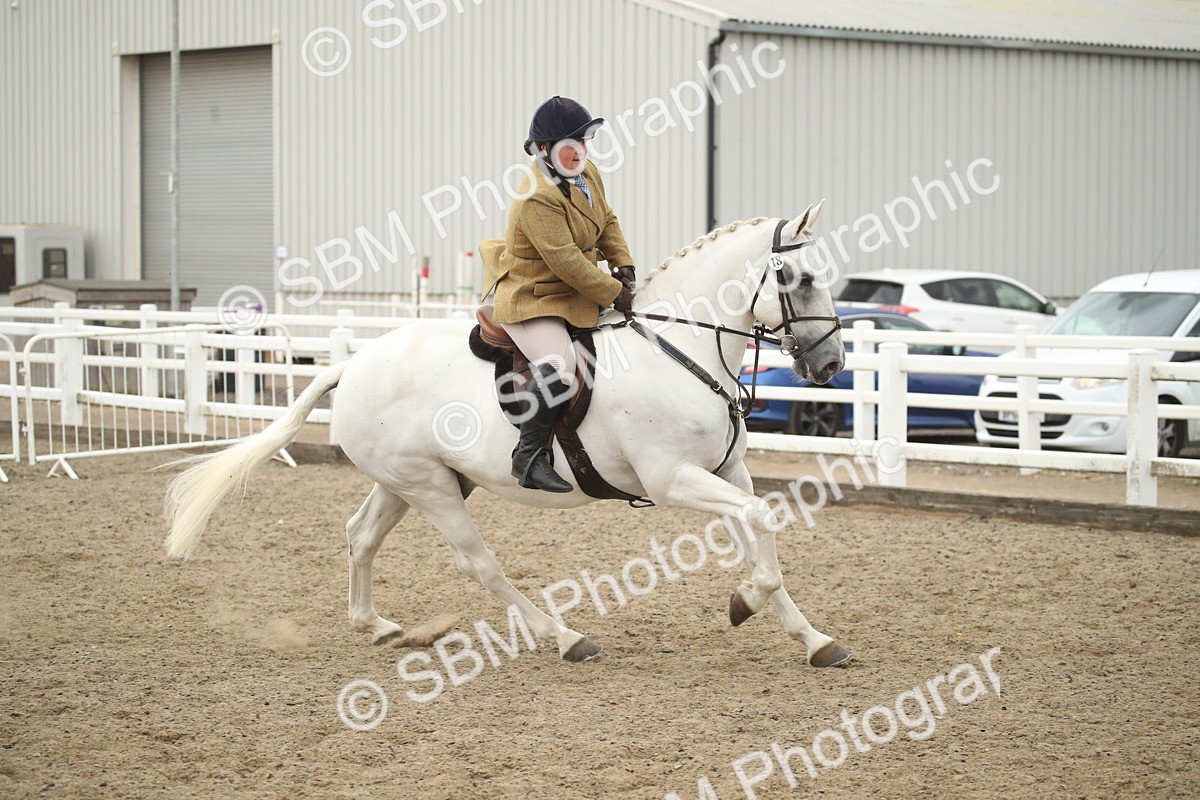 SBM_18445 - Class 510a - Working Veteran 90cm (15-19)