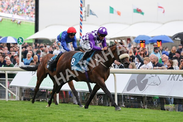 yr22072022r4-29 - Race 4 6.50pm The IRE Incentive It Pays To Buy Irish EBF Restricted Novice Stakes