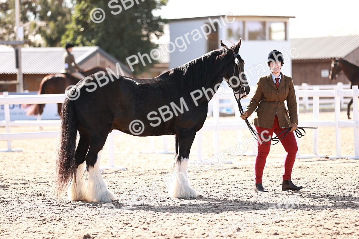 SBM_12586 - Class 404 - IH Traditional - Native Cob