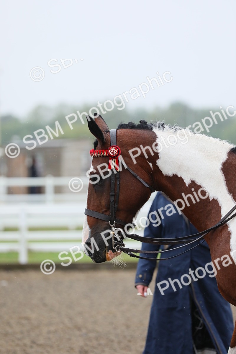 SBM_19888 - Class 801 - Ridden Veteran