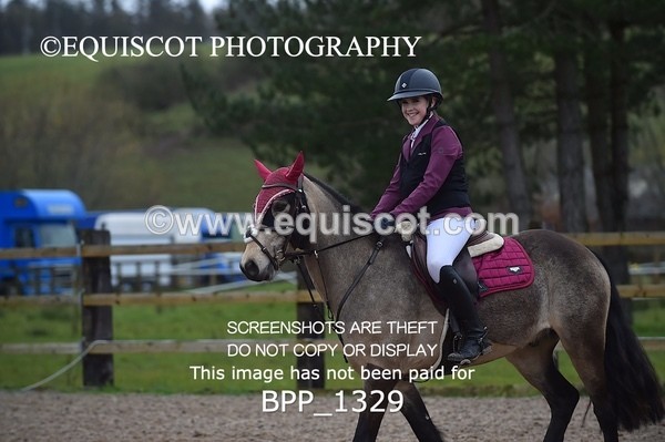 BPP_1329 - CLASS 5 Pony BritiNovice / 0.80m Open