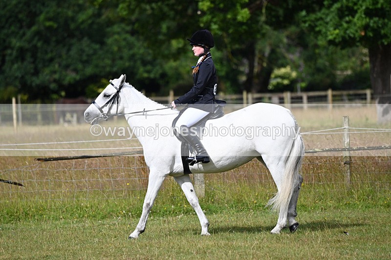 WJ6_8491 - Class 9 Tack & Turned out