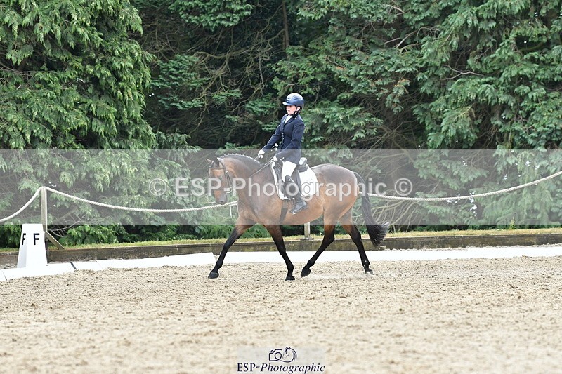 260801A-125035-04070 - Prelim Bronze Break - End