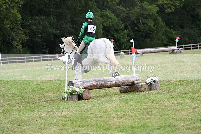 WJ7_8526 - 60cm Time 12:11 to 12:30