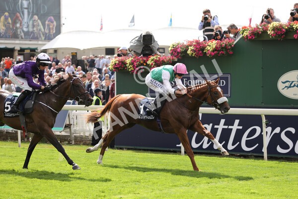 yr17082022r2-29 - Race 2 2.25pm Tattersalls Acomb Stakes