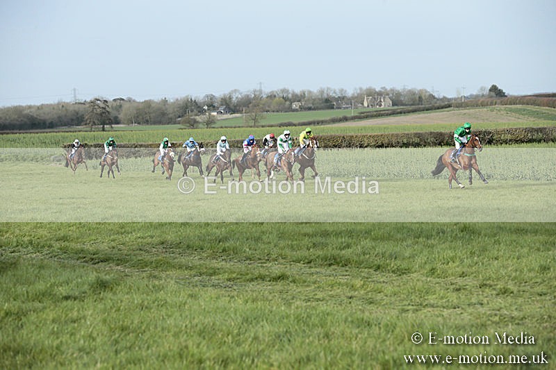 PtP 230319 450 - VWH Hunt Siddington Point-to-Point Racing 23/03/19