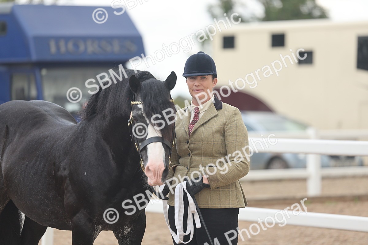 SBM_03286 - Class 16 - IH M&M Wildcard