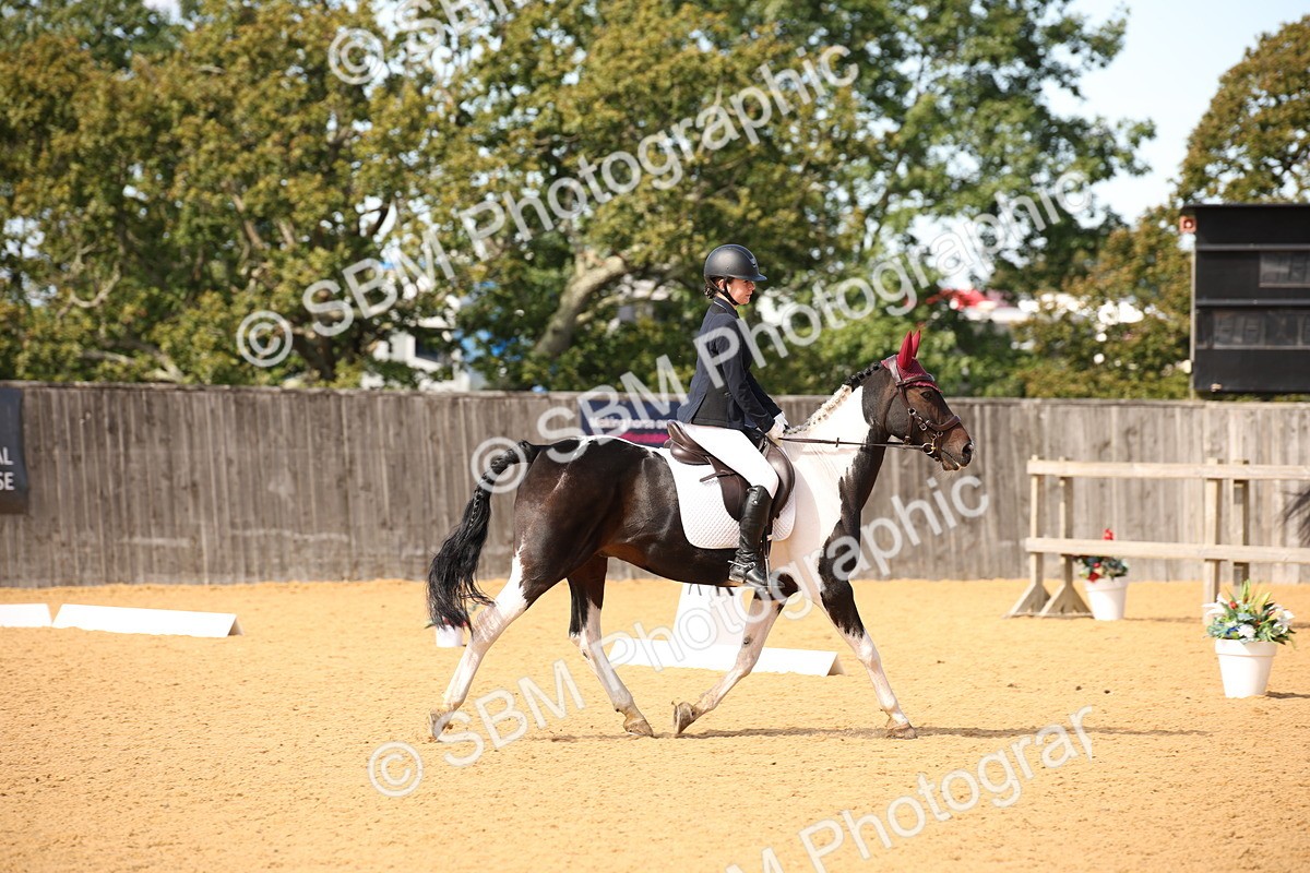 SBM_24104 - D5 - Small Tour Championship - Intro C