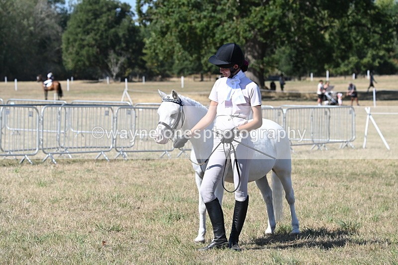 WJ6_9388 - Class 40 Cheekiest Pony/Horse
