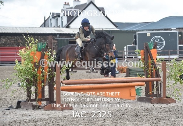 JAC_2325 - CLASS 3 Intermediate Working Hunter