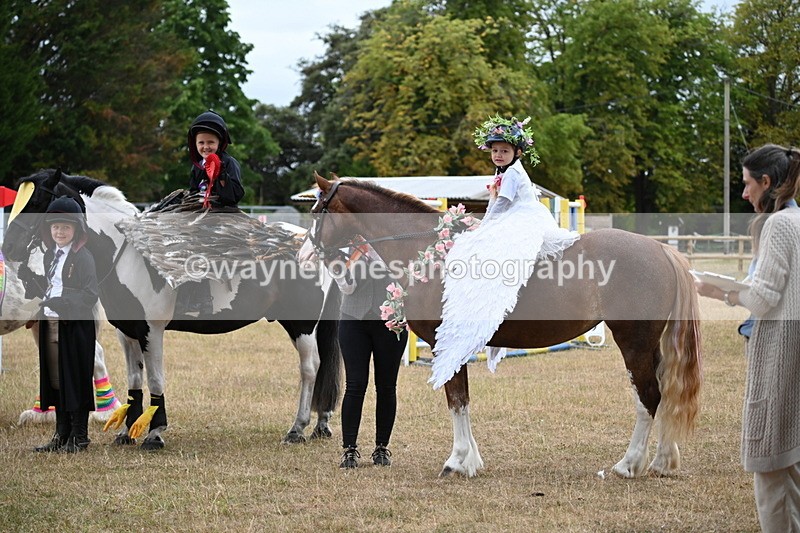 WJ6_9227 - Class 11 Fancy Dress