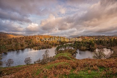 Tarn Hows - Lake District