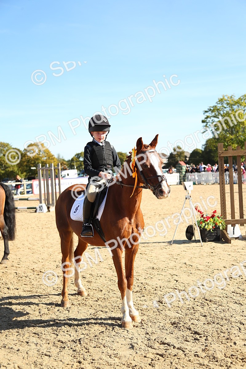 SBM_36046 - J5 - Junior Pony 50cm Championship