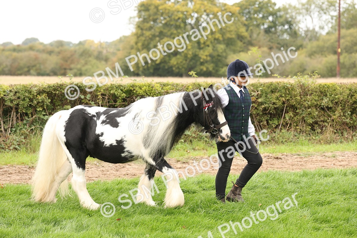 SBM_59224 - S57 - Traditional Cob In Hand