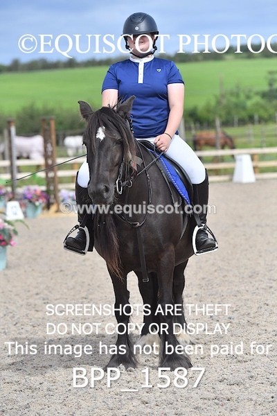 BPP_1587 - DERBY CLASS 3 - 40CM