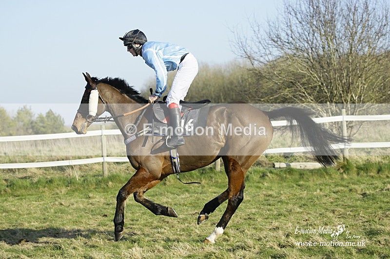 PtP 270222 481 - South & West Wilts Point-to-Point Larkhill 27/02/22